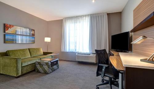 Suite with 1 Queen, Sofa bed