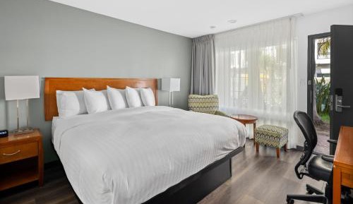 King Room
