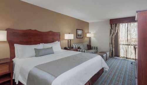 Executive King Room - Non-Smoking
