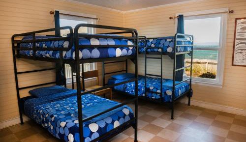 Bed in Women's Dorm Ensuite