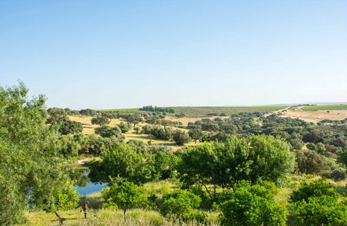 Elvas Hotel | Hotel Rural Monte da Provença