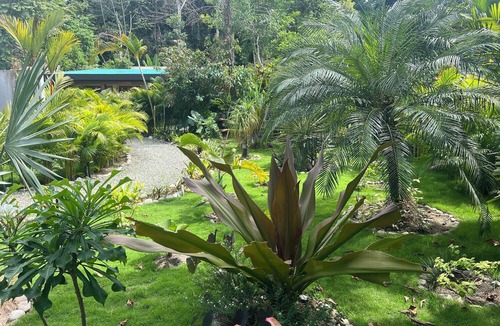 Punta Uva Apartment | Charming 1-bedroom apartment with WiFi, AC in pleasant Punta Uva