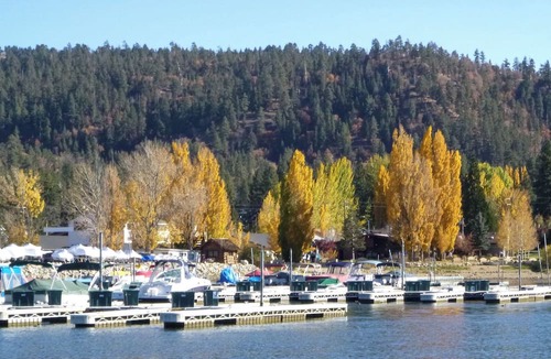 Ironwood Estates Cottage | Big Bear Cottage, walk to Village!