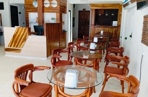 Dhiffushi Hotel | VelaaVani - Turtle Hive Dhiffushi