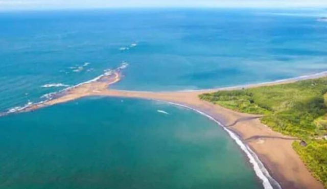 New! 360° Jungle + Ocean View, Walk to Beach & River