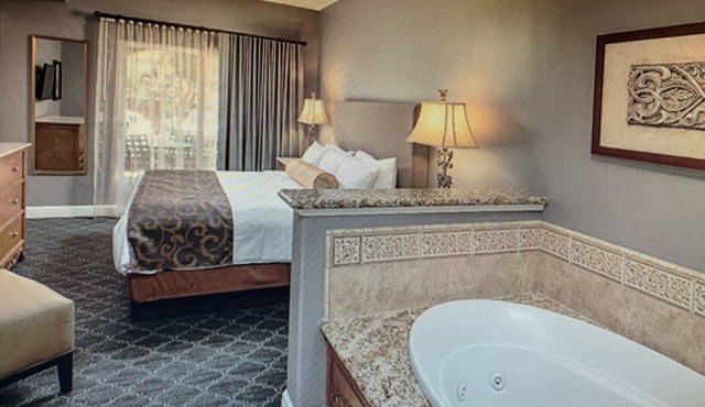 Labor Day - Awesome 1 bd condo suite in Napa Valley. Free bottle of wine & more